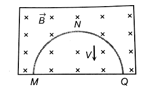 A thin semicircuilar conducting ring (PQR) of radius r is falling with its  plane vertical in a horizontal magnetic field B, as shown in Fig. The potential  difference developed across the ring